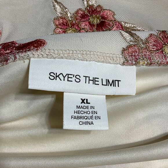 Embroidered Boho Square Neck Mesh Top XL - Picture 7 of 8